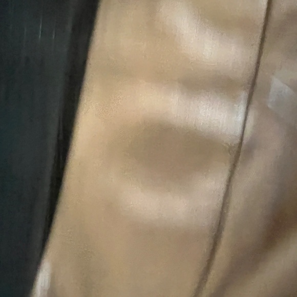 Cache Leather pants Bonze Gold  jeans size 12 Vintage Nwt - Picture 7 of 17